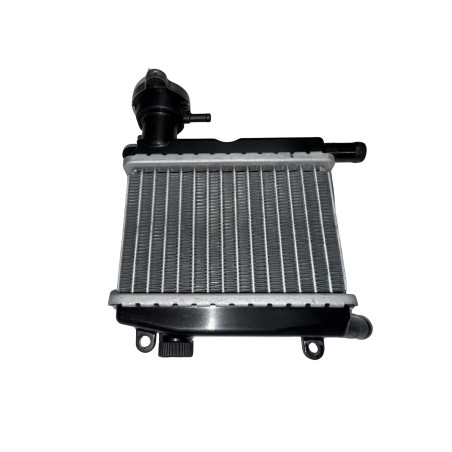 Radiador aerox 4T