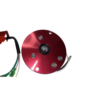 Rotor competicion Pit bike  110cc, 125cc, 140cc, Lifan Dirt Pit Bike