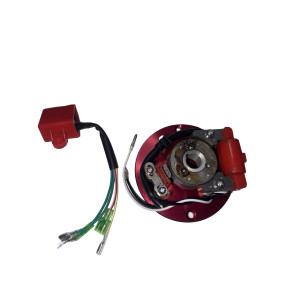 Rotor competicion Pit bike  110cc, 125cc, 140cc, Lifan Dirt Pit Bike