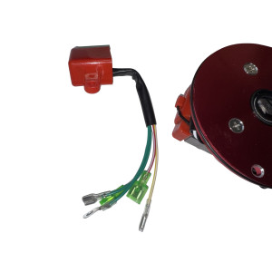 Rotor competicion Pit bike  110cc, 125cc, 140cc, Lifan Dirt Pit Bike