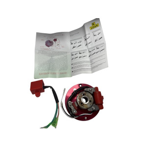 Rotor competicion Pit bike  110cc, 125cc, 140cc, Lifan Dirt Pit Bike