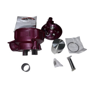 Cilindro rosa 74cc minarelli AM6 Agua 1 segmento