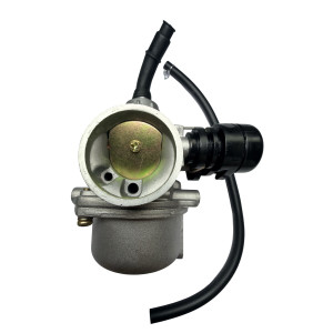 Carburador pz19mm