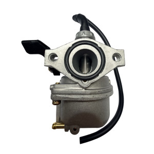Carburador pz19mm