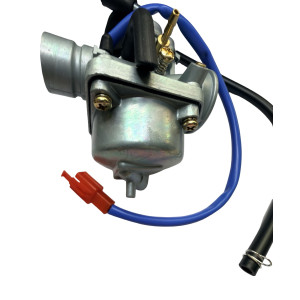 Carburador  19mm starter electrico