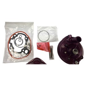 Cilindro 74cc rosa am6 2 segmentos